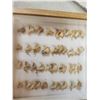 Image 4 : 20 Bobcat Claws & 20 Lynx Claws Taxidermy