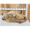 Image 2 : Big Alaskan Brown Bear Rug Taxidermy