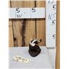 Image 3 : Baby Skunk Full Body Taxidermy Mount