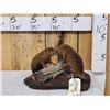Image 1 : 2 Baby Beavers Playing