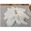 Image 1 : 20 Arctic Ranch Fox Tail Keychains Taxidermy