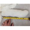 Image 2 : 20 Arctic Ranch Fox Tail Keychains Taxidermy