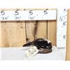 Image 1 : Baby Skunk Full Body Taxidermy Mount