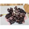 Image 1 : 15 Dyed Silver Ranch Fox Tail Keychains Taxidermy