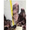 Image 2 : 15 Dyed Silver Ranch Fox Tail Keychains Taxidermy