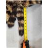 Image 2 : 25 Raccoon Tail Keychains Taxidermy