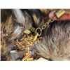 Image 3 : 25 Raccoon Tail Keychains Taxidermy