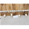 Image 1 : 4 Sets Of Whitetail Antlers On Skulls