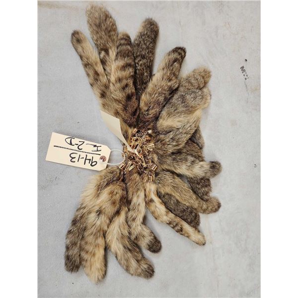 20 Bobcat Tail Keychains Taxidermy