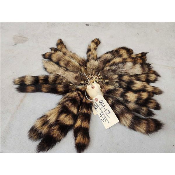 25 Raccoon Tail Keychains Taxidermy