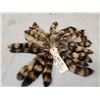 Image 1 : 25 Raccoon Tail Keychains Taxidermy