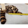 Image 2 : 25 Raccoon Tail Keychains Taxidermy