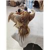 Image 4 : 2 Ringneck Pheasants Fighting Bird Taxidermy
