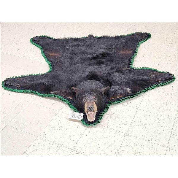 Nice Black Bear Rug Taxidermy