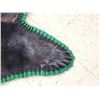 Image 5 : Nice Black Bear Rug Taxidermy