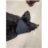Image 10 : Black Bear Rug Taxidermy