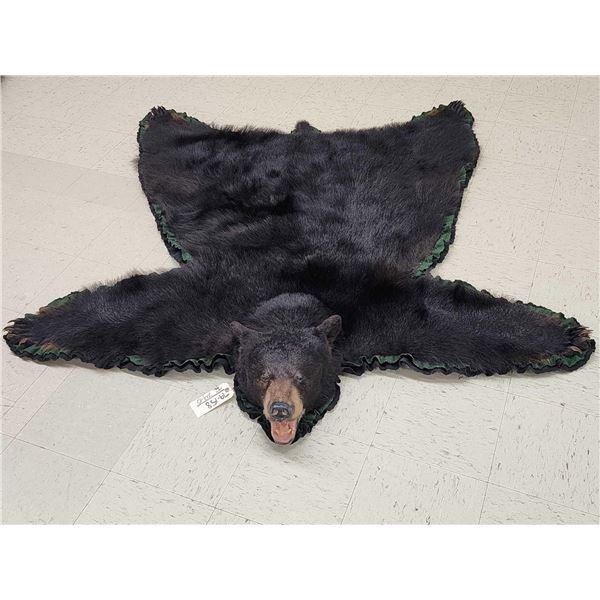 Black Bear Rug Taxidermy