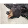 Image 3 : Black Bear Rug Taxidermy
