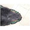Image 8 : Black Bear Rug Taxidermy