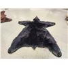Image 9 : Black Bear Rug Taxidermy