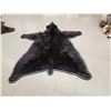 Image 10 : Black Bear Rug Taxidermy