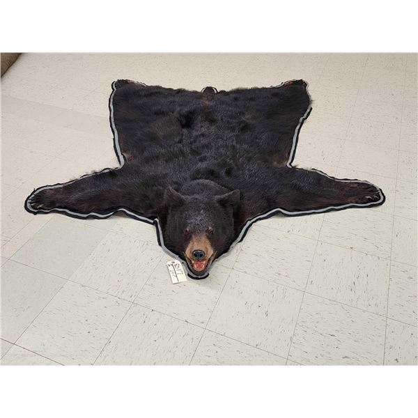 Black Bear Rug Taxidermy