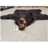 Image 2 : Black Bear Rug Taxidermy