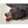 Image 3 : Black Bear Rug Taxidermy