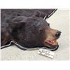 Image 4 : Black Bear Rug Taxidermy