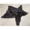 Image 5 : Black Bear Rug Taxidermy