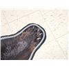 Image 7 : Black Bear Rug Taxidermy