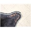 Image 8 : Black Bear Rug Taxidermy