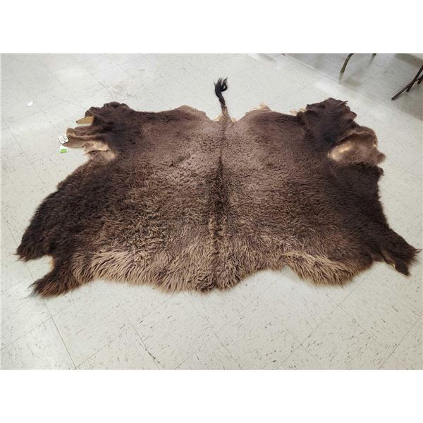 Soft Tanned American Bison Buffalo Robe Taxidermy