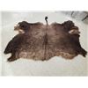 Image 1 : Soft Tanned American Bison Buffalo Robe Taxidermy