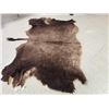 Image 2 : Soft Tanned American Bison Buffalo Robe Taxidermy