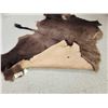 Image 4 : Soft Tanned American Bison Buffalo Robe Taxidermy