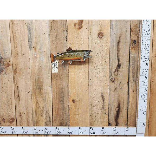 17" Brook Trout Real Skin Fish Taxidermy