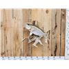 Image 1 : 25" Striper Real Skin Fish Taxidermy