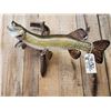 Image 4 : 39" Northern Pike Real Skin Fish Taxidermy