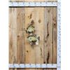Image 1 : 12" & 10" Crappie Real Skin Fish Taxidermy
