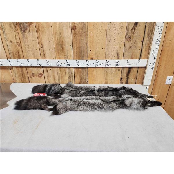 2 Silver Ranch Fox Soft Tanned Furs Taxidermy