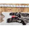Image 2 : 2 Silver Ranch Fox Soft Tanned Furs Taxidermy