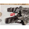 Image 3 : 2 Silver Ranch Fox Soft Tanned Furs Taxidermy
