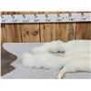 Image 2 : 2 Arctic Ranch Fox Soft Tanned Furs Taxidermy