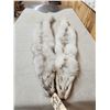 Image 2 : 2 Blue Ranch Fox Soft Tanned Furs Taxidermy