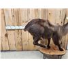 Image 2 : Tahr Full Body Taxidermy Mount
