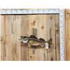 Image 1 : 31" Walleye Real Skin Fish Taxidermy