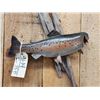 Image 4 : 18" Trout Real Skin Fish Taxidermy