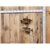 Image 1 : 18" & 19" Smallmouth Bass Real Skin Fish Taxidermy