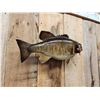 Image 4 : 18" & 19" Smallmouth Bass Real Skin Fish Taxidermy